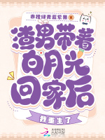 小說(shuō)《/data/image/11455.jpg》封面