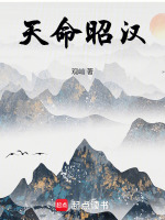 小說(shuō)《/data/image/12649.jpg》封面