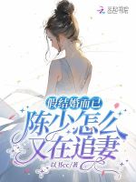 小說(shuō)《/data/image/127.jpg》封面