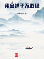 小說(shuō)《/data/image/13430.jpg》封面