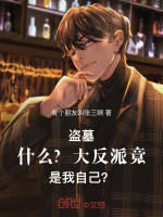 小說(shuō)《/data/image/13539.jpg》封面