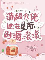 小說(shuō)《/data/image/1372.jpg》封面