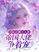 小說(shuō)《/data/image/13799.jpg》封面