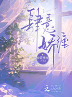 小說(shuō)《/data/image/138.jpg》封面