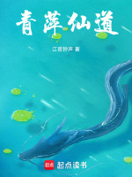 小說(shuō)《/data/image/14128.jpg》封面