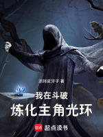 小說(shuō)《/data/image/14310.jpg》封面