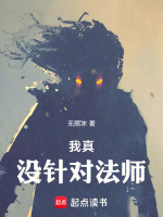 小說(shuō)《/data/image/14375.jpg》封面