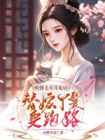 小說(shuō)《/data/image/1457.jpg》封面