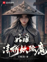 小說《/data/image/15255.jpg》封面