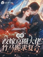小說《/data/image/15788.jpg》封面