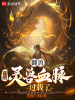 小說(shuō)《/data/image/15870.jpg》封面