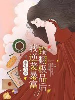 小說《/data/image/15885.jpg》封面