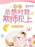 小說(shuō)《/data/image/16059.jpg》封面