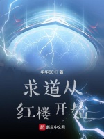 小說《/data/image/16333.jpg》封面