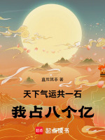 小說(shuō)《/data/image/16733.jpg》封面