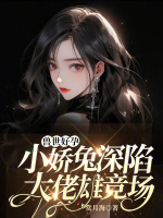 小說(shuō)《/data/image/16735.jpg》封面