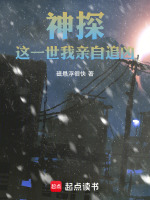 小說《/data/image/16945.jpg》封面