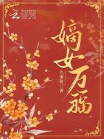 小說(shuō)《/data/image/17055.jpg》封面