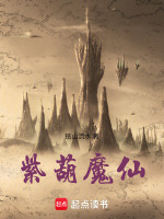 小說(shuō)《/data/image/17071.jpg》封面