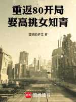 小說(shuō)《/data/image/17107.jpg》封面