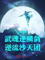 小說(shuō)《/data/image/17199.jpg》封面