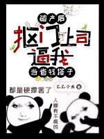小說《/data/image/17321.jpg》封面