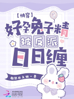 小說《/data/image/17326.jpg》封面
