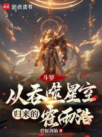 小說(shuō)《/data/image/17428.jpg》封面