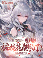 小說《/data/image/17575.jpg》封面