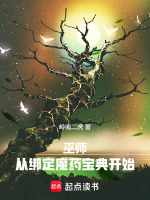 小說《/data/image/17580.jpg》封面