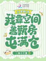 小說(shuō)《/data/image/17981.jpg》封面
