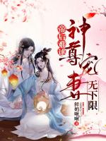 小說(shuō)《/data/image/18060.jpg》封面
