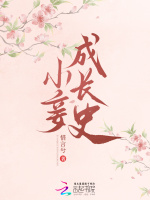 小說(shuō)《/data/image/18273.jpg》封面
