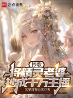 小說《/data/image/1862.jpg》封面