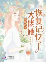 小說(shuō)《/data/image/19420.jpg》封面