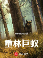 小說《/data/image/19625.jpg》封面