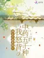 小說(shuō)《/data/image/19628.jpg》封面
