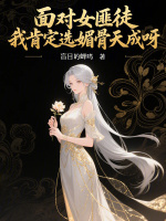 小說《/data/image/20365.jpg》封面