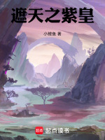 小說《/data/image/20503.jpg》封面