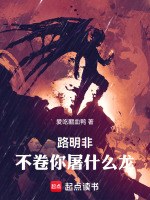 小說《/data/image/20839.jpg》封面
