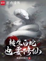 小說《/data/image/21152.jpg》封面