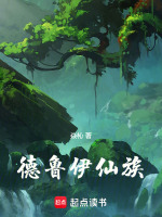 德魯伊仙族小說封面