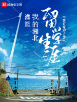 灌籃：我的湘北留學(xué)生涯小說封面