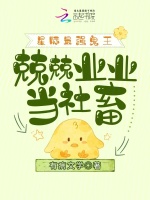 小說(shuō)《/data/image/2291.jpg》封面