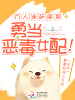小說(shuō)《/data/image/2303.jpg》封面