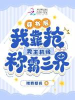 小說《/data/image/2335.jpg》封面