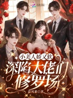 小說《/data/image/2336.jpg》封面