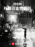 小說(shuō)《/data/image/2413.jpg》封面