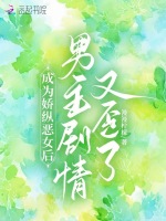 小說(shuō)《/data/image/2656.jpg》封面