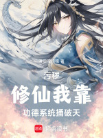 小說(shuō)《/data/image/2700.jpg》封面